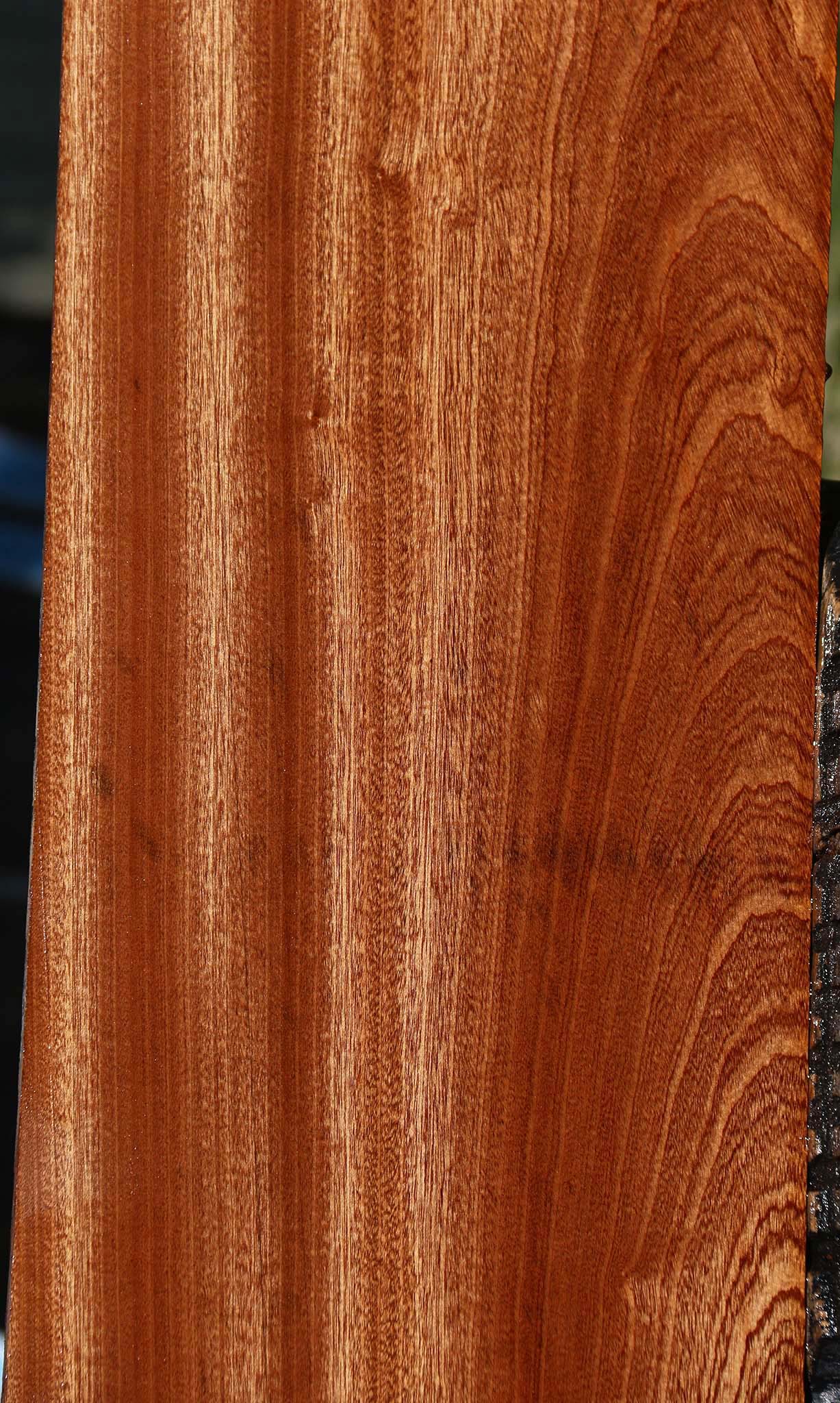 Figured Sapele Lumber