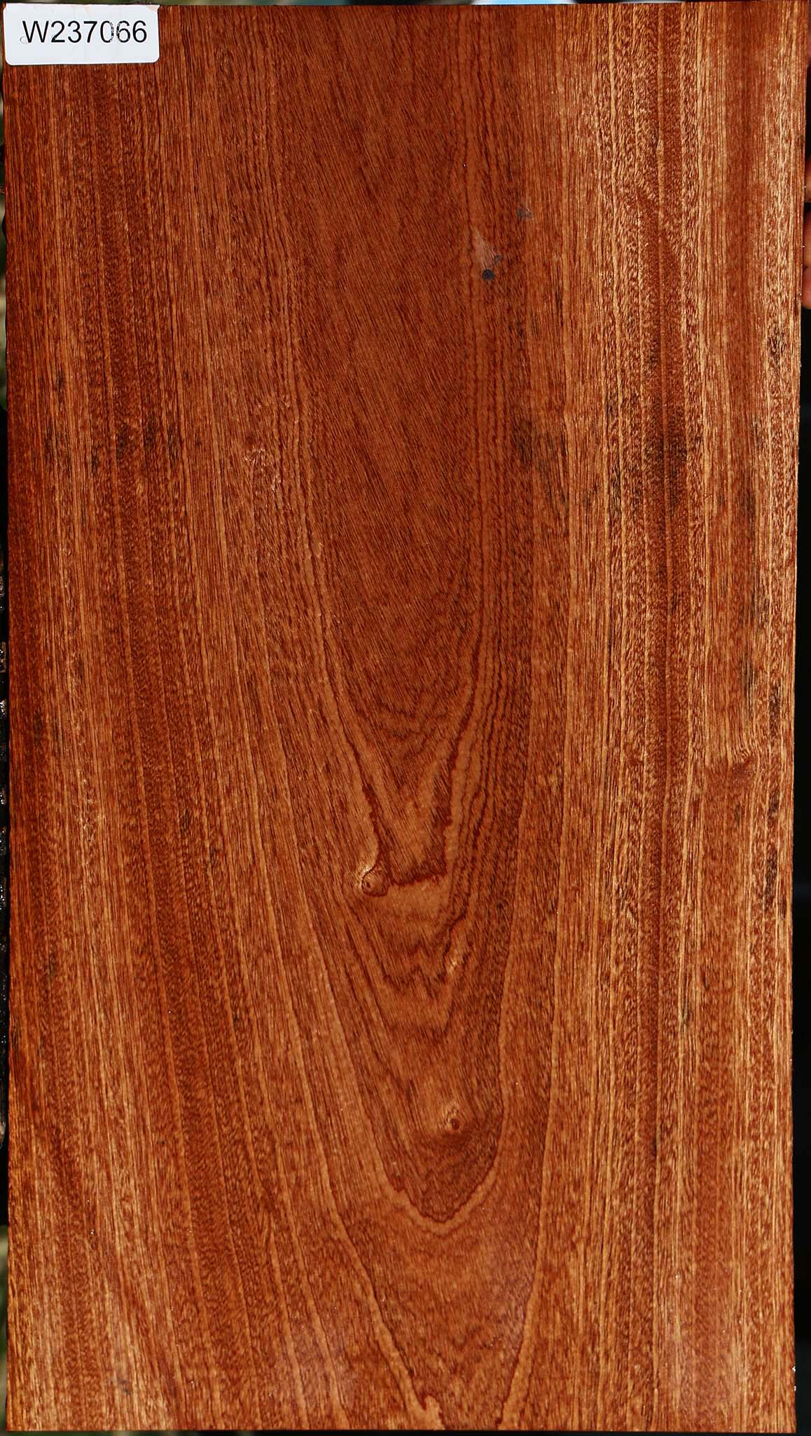 Sapele Lumber
