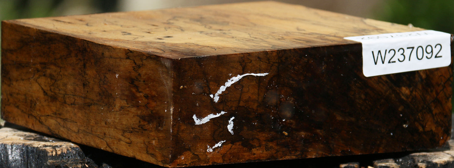 Extra Fancy Spalted Tamarind Bowl Blank