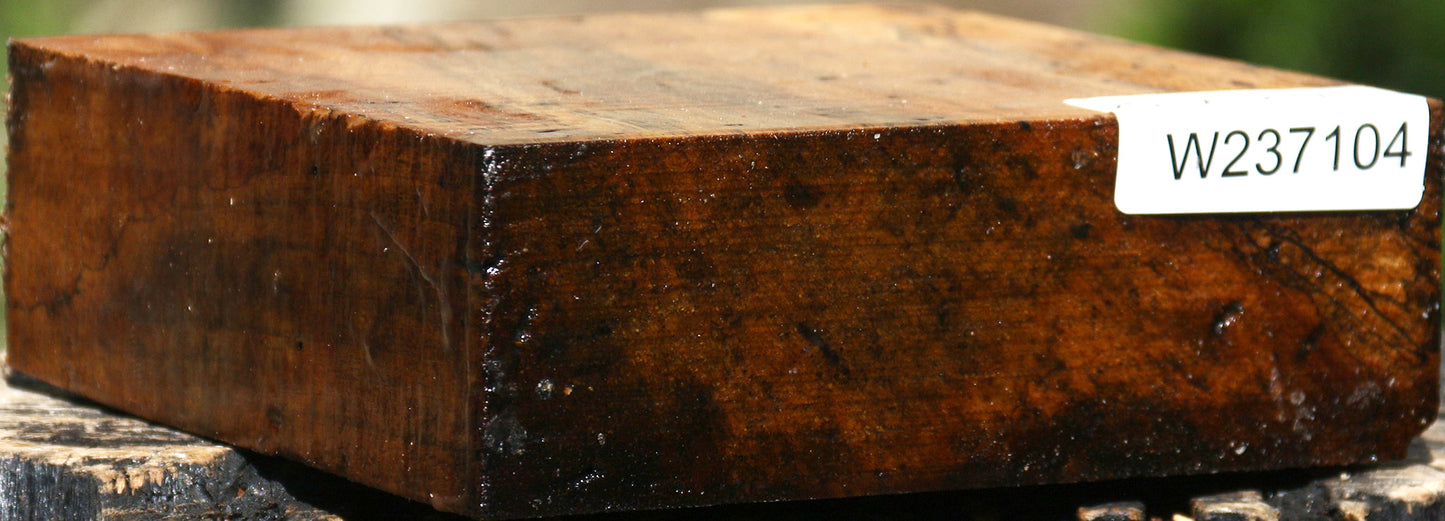 Spalted Tamarind Bowl Blank