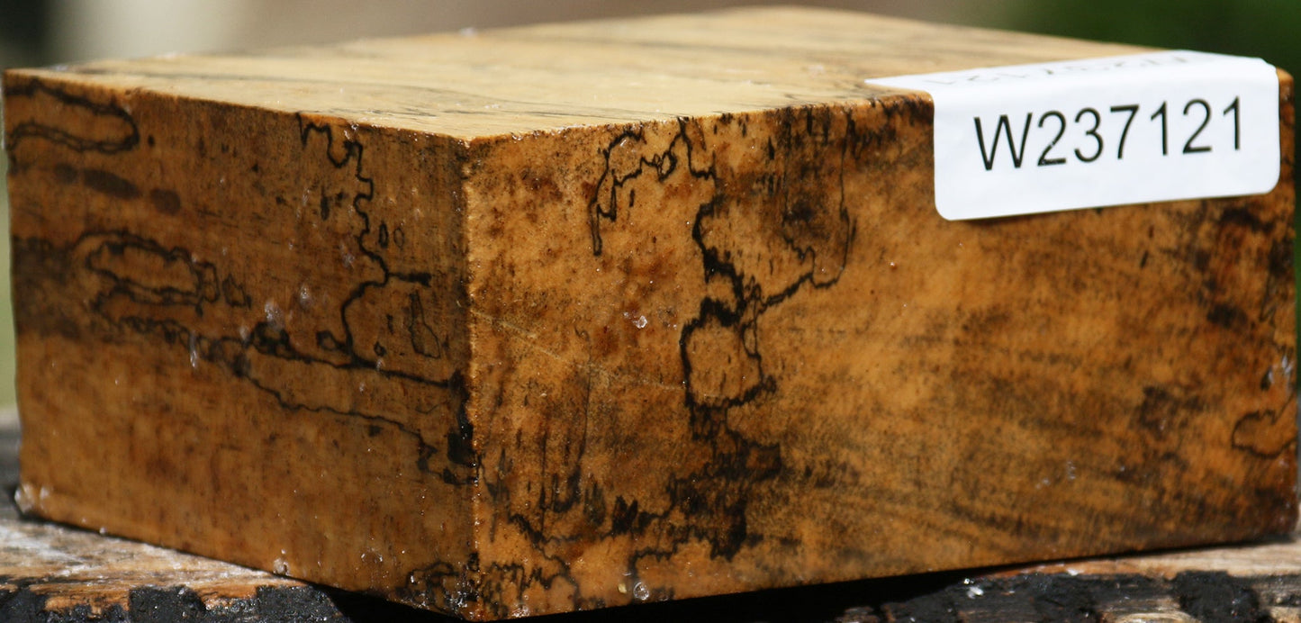 Extra Fancy Spalted Tamarind Bowl Blank