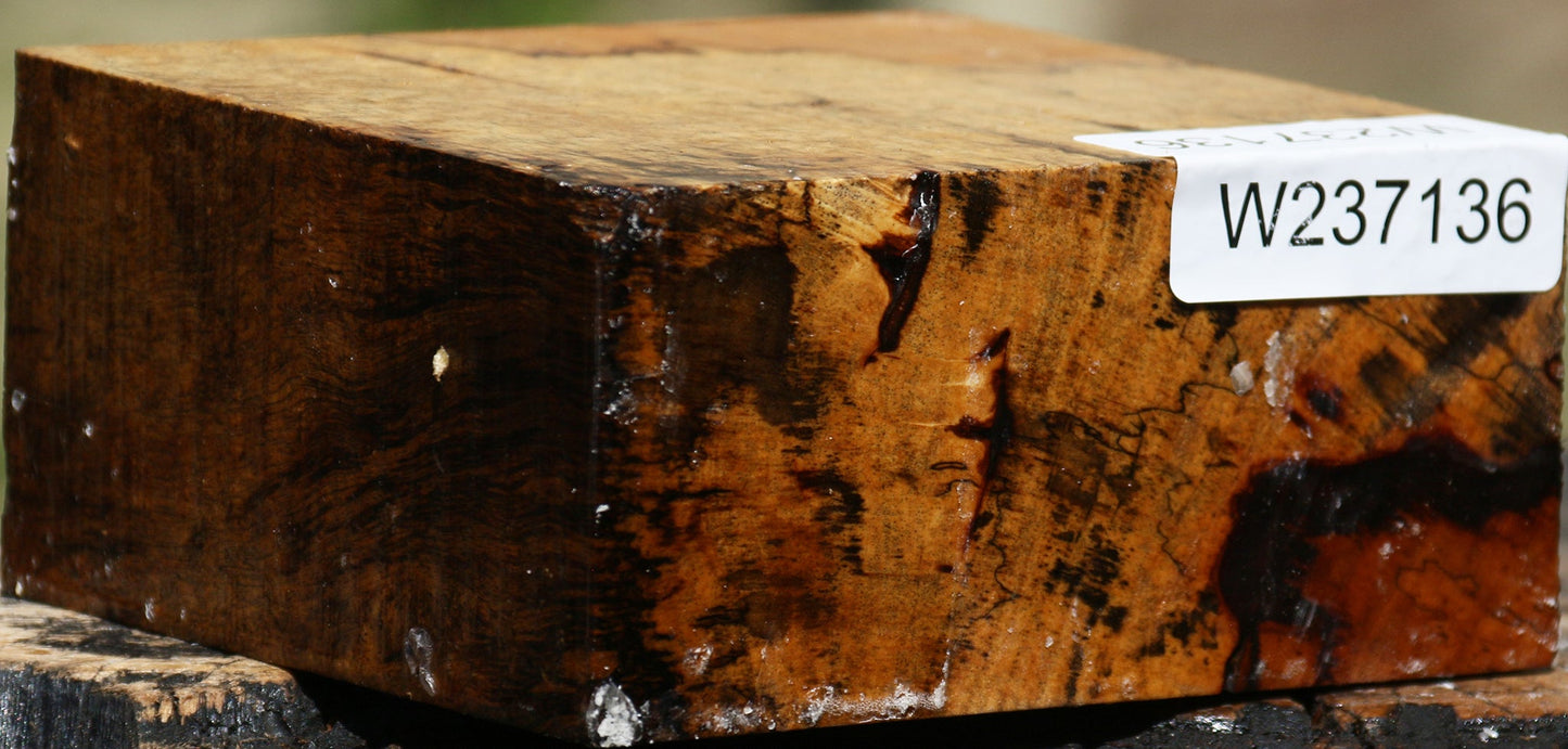 Figured Spalted Tamarind Bowl Blank