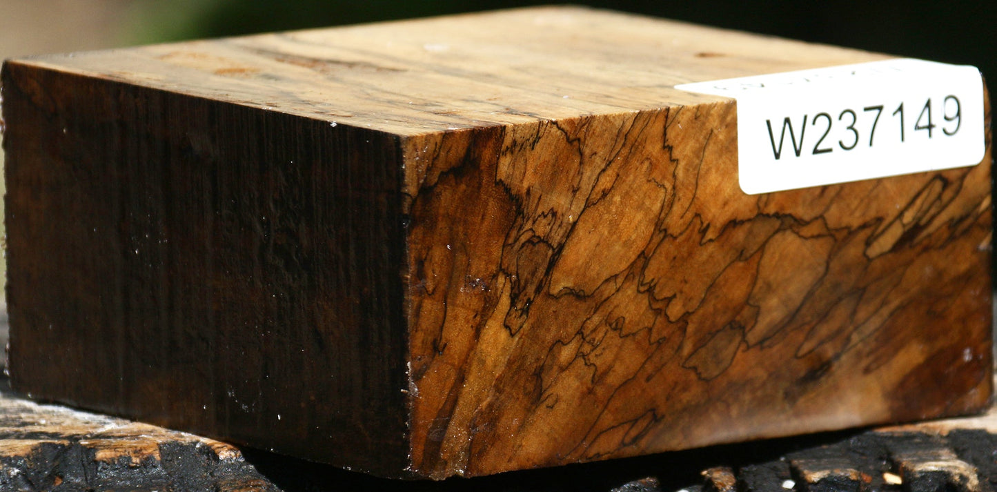 Figured Spalted Tamarind Bowl Blank