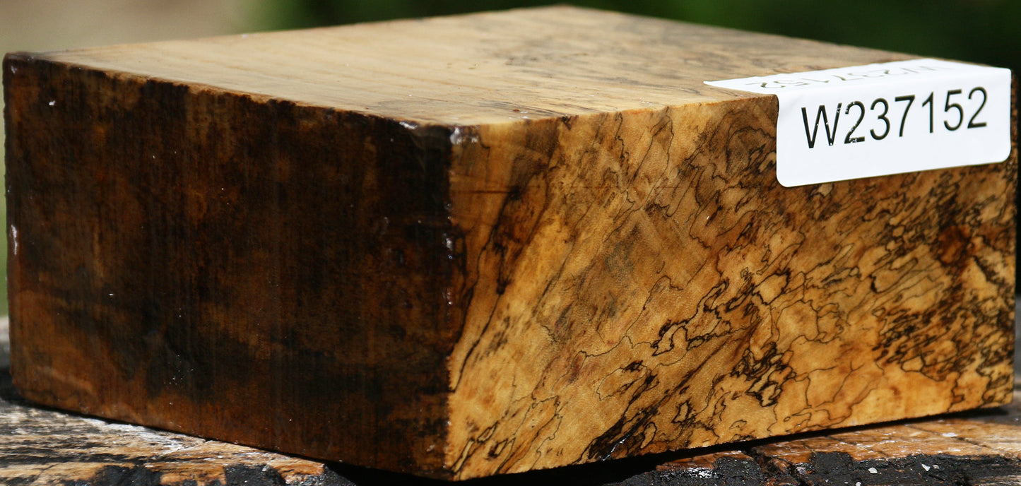 Extra Fancy Spalted Tamarind Bowl Blank