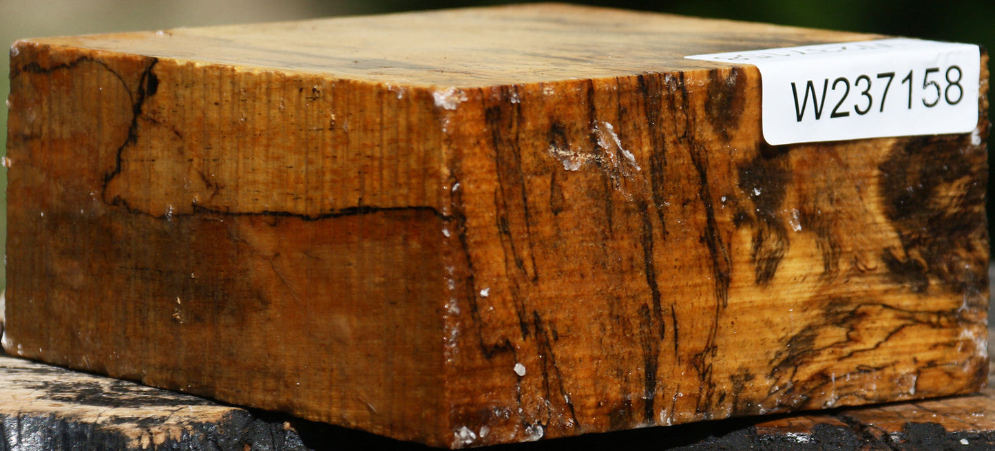 Figured Spalted Tamarind Bowl Blank