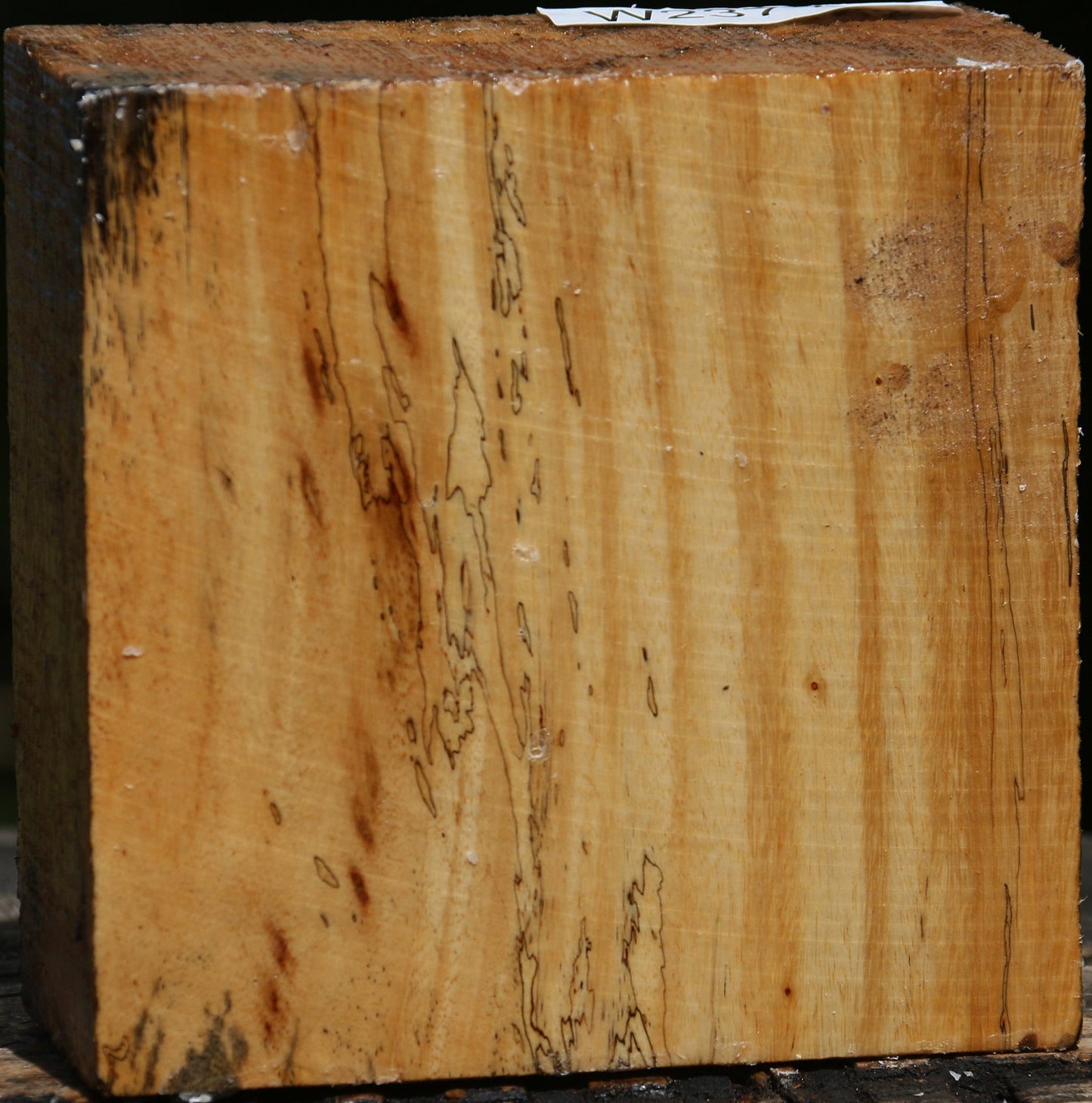 Spalted Tamarind Bowl Blank