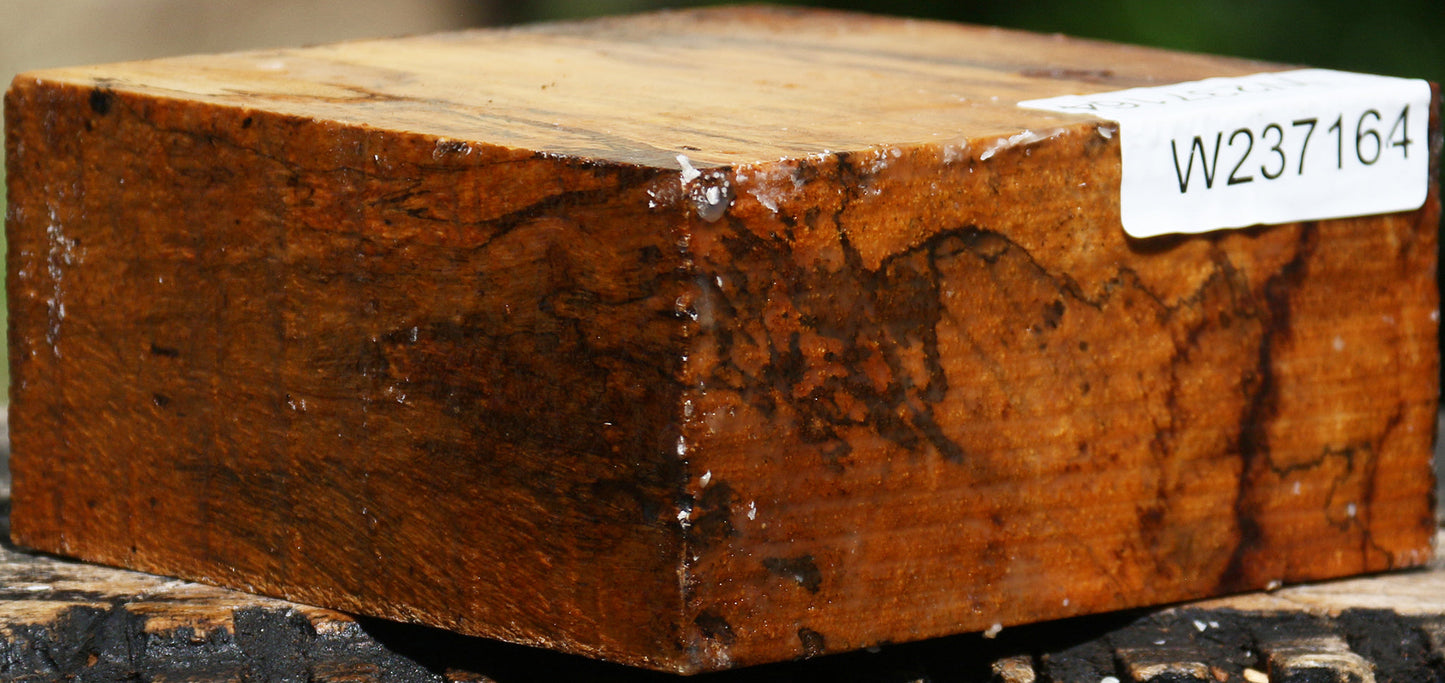 Figured Spalted Tamarind Bowl Blank