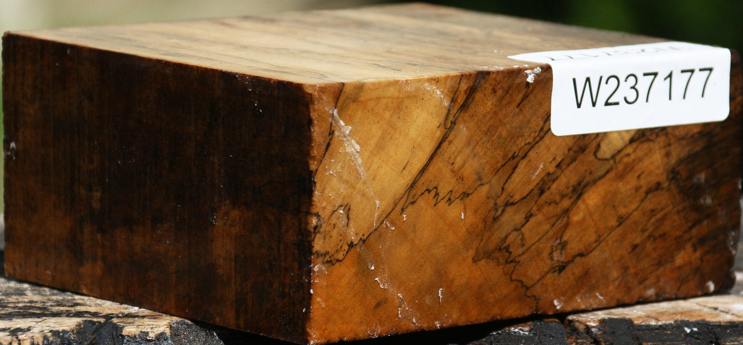 Spalted Tamarind Bowl Blank
