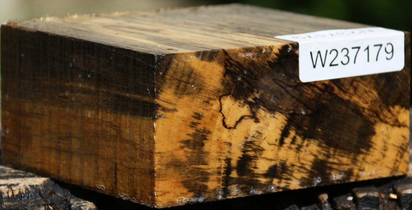 Extra Fancy Spalted Tamarind Bowl Blank