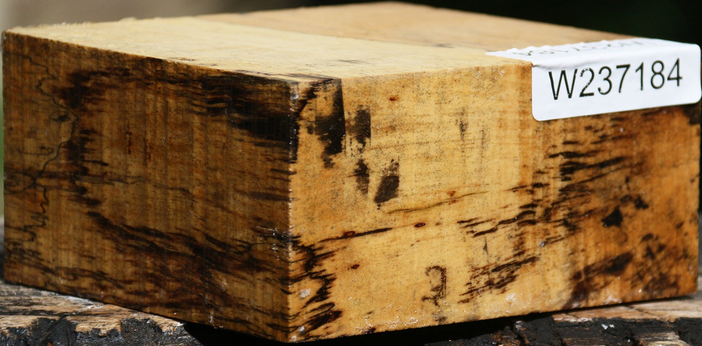 Spalted Tamarind Bowl Blank