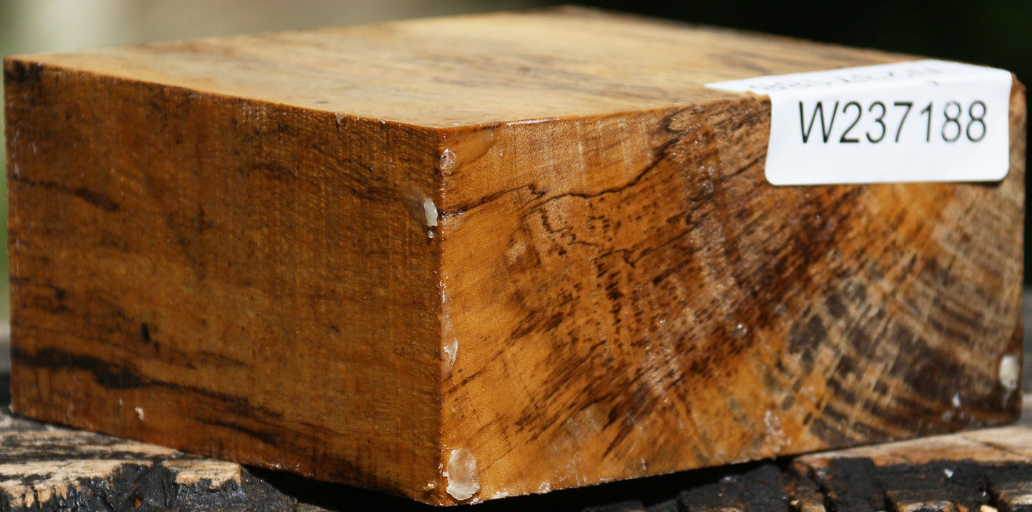 Spalted Tamarind Bowl Blank