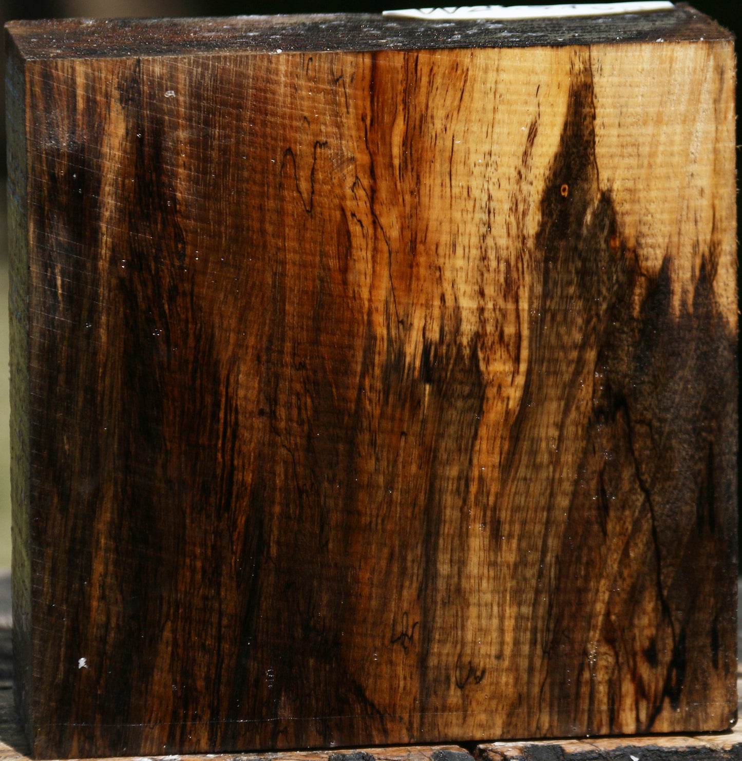 Figured Spalted Tamarind Bowl Blank