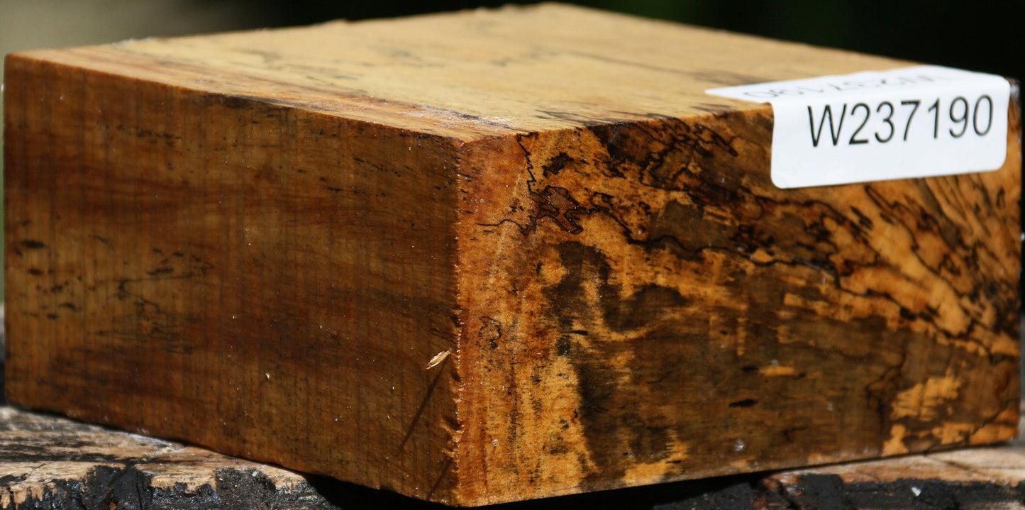 Figured Spalted Tamarind Bowl Blank