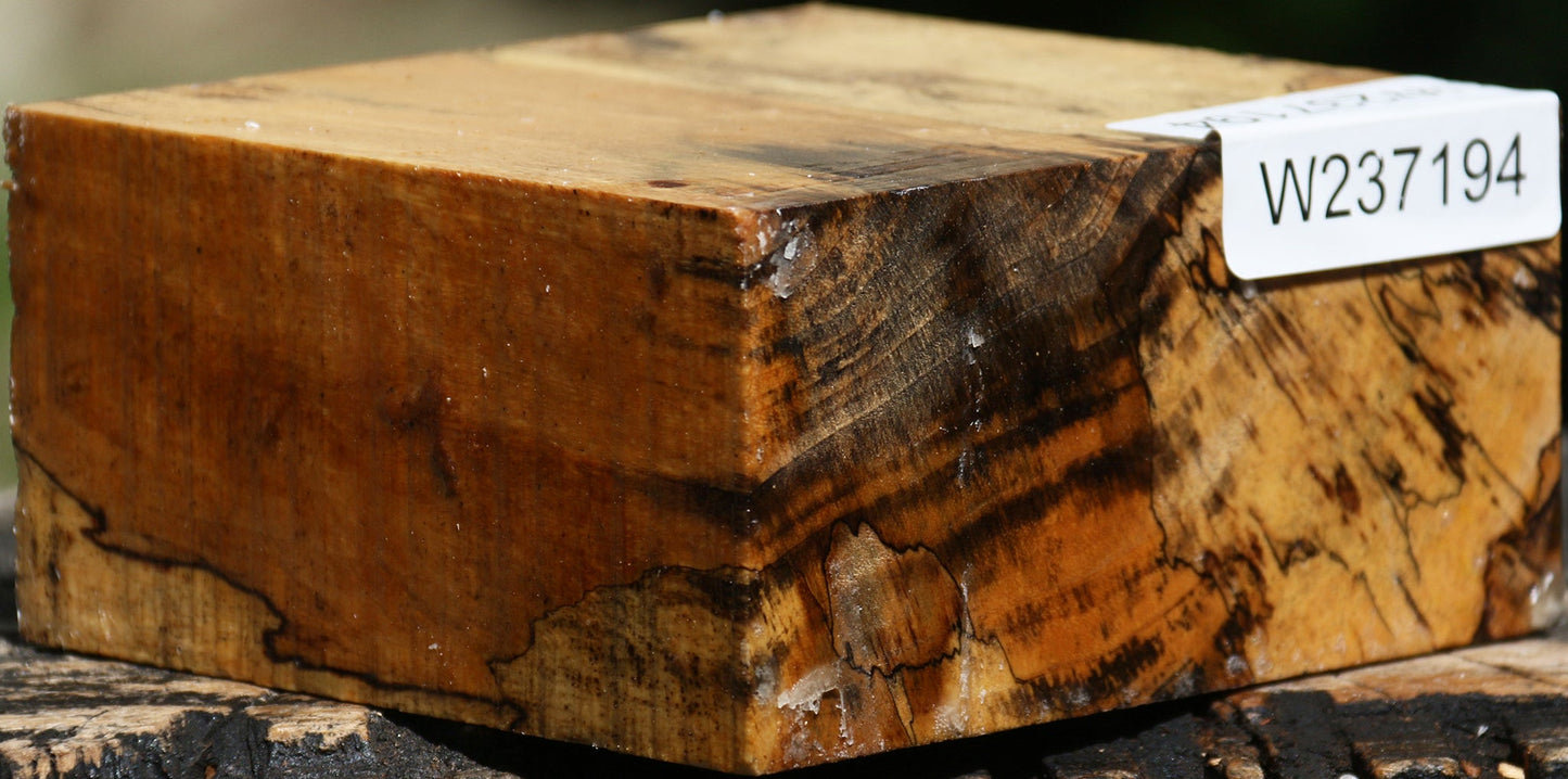 Figured Spalted Tamarind Bowl Blank