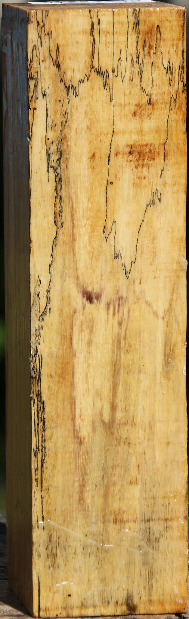Spalted Tamarind Peppermill