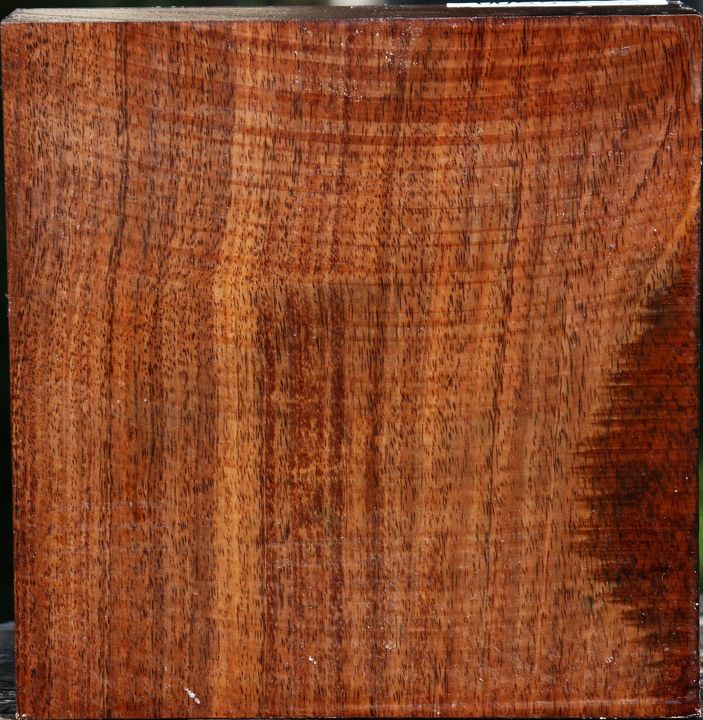 Tzalam Bowl Blank
