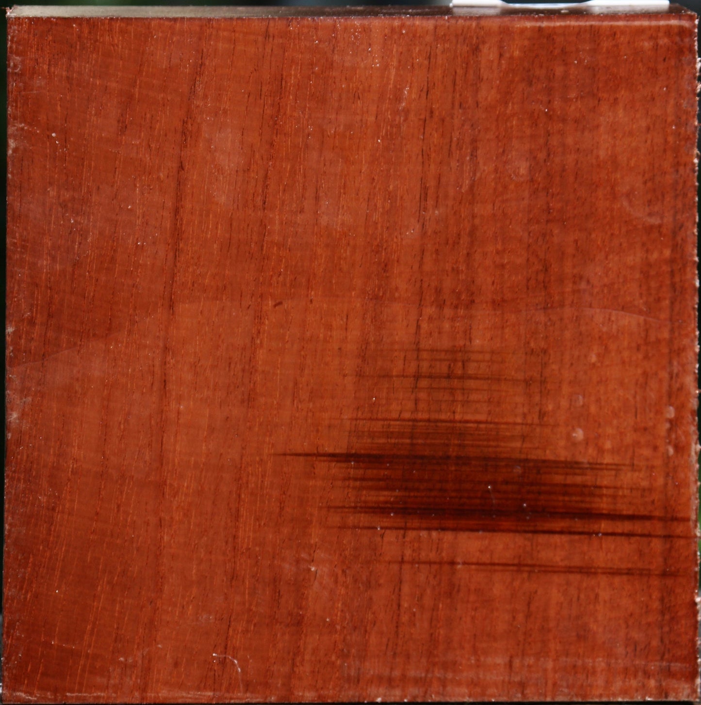 Tzalam Bowl Blank