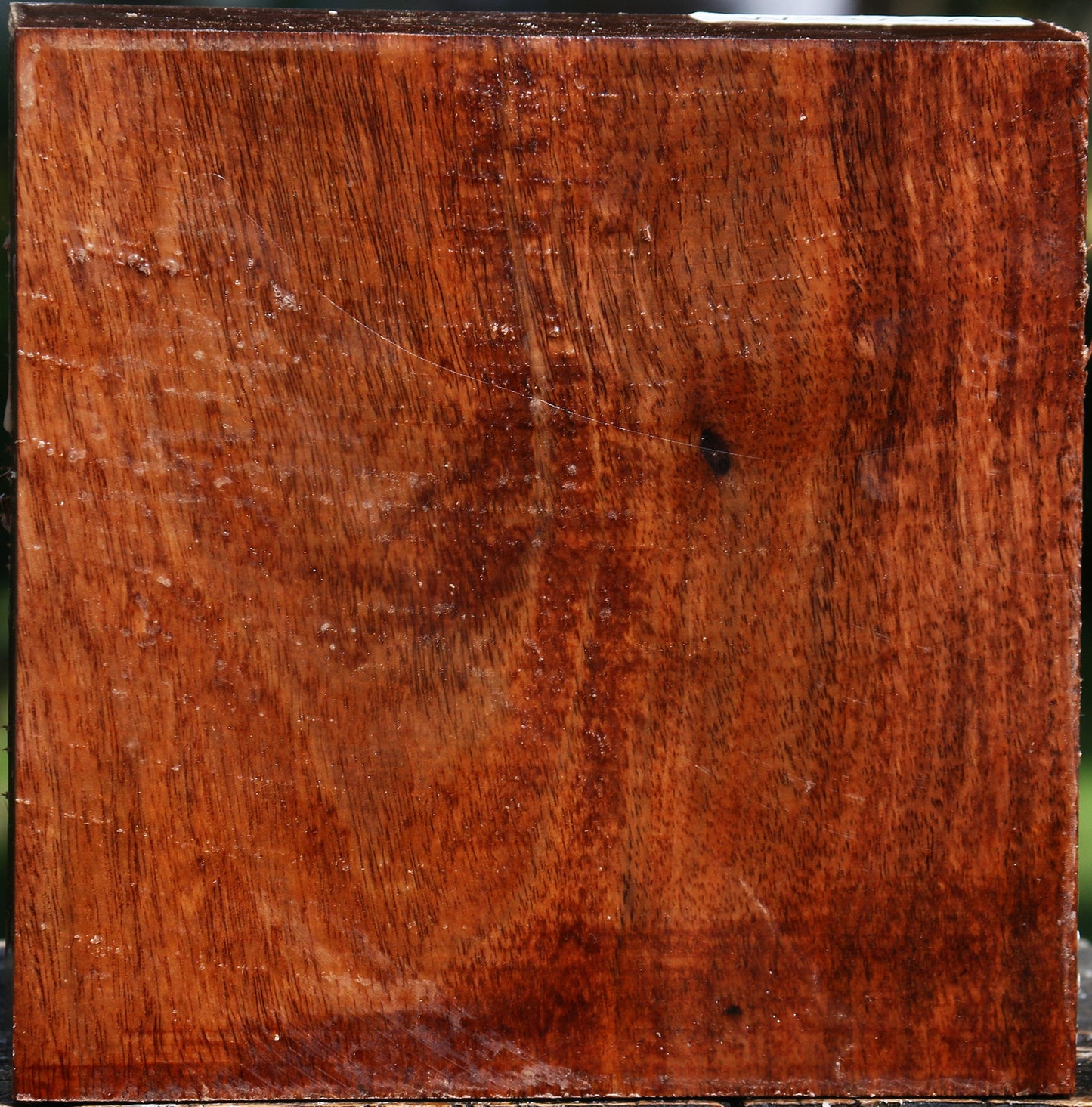 Tzalam Bowl Blank