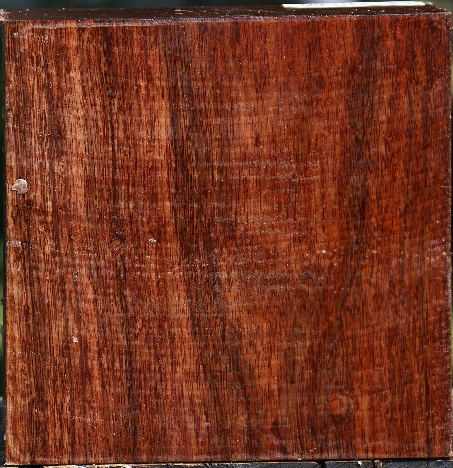 Tzalam Bowl Blank