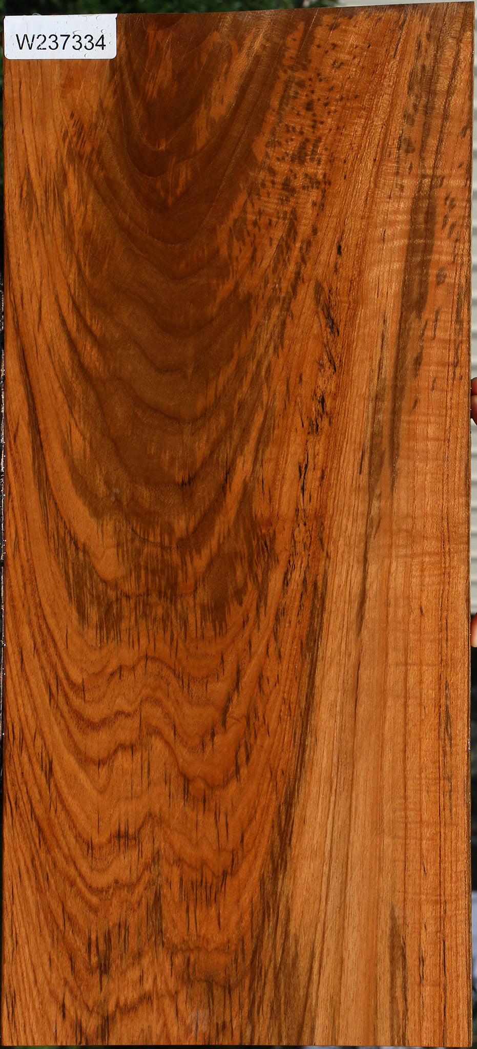 Extra Fancy Teak Lumber