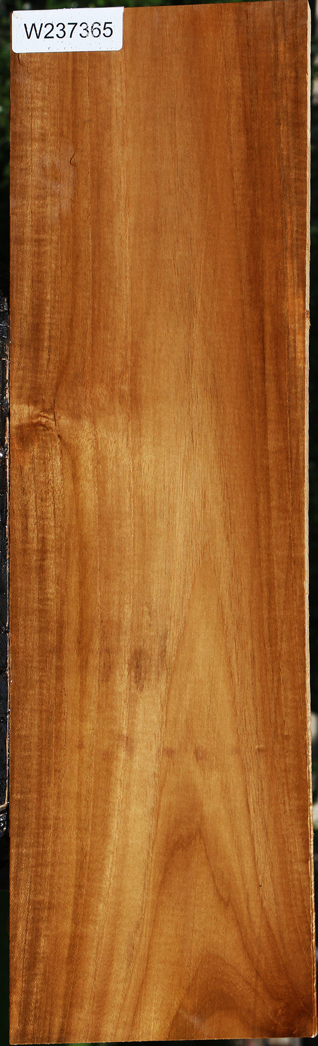 Teak Lumber