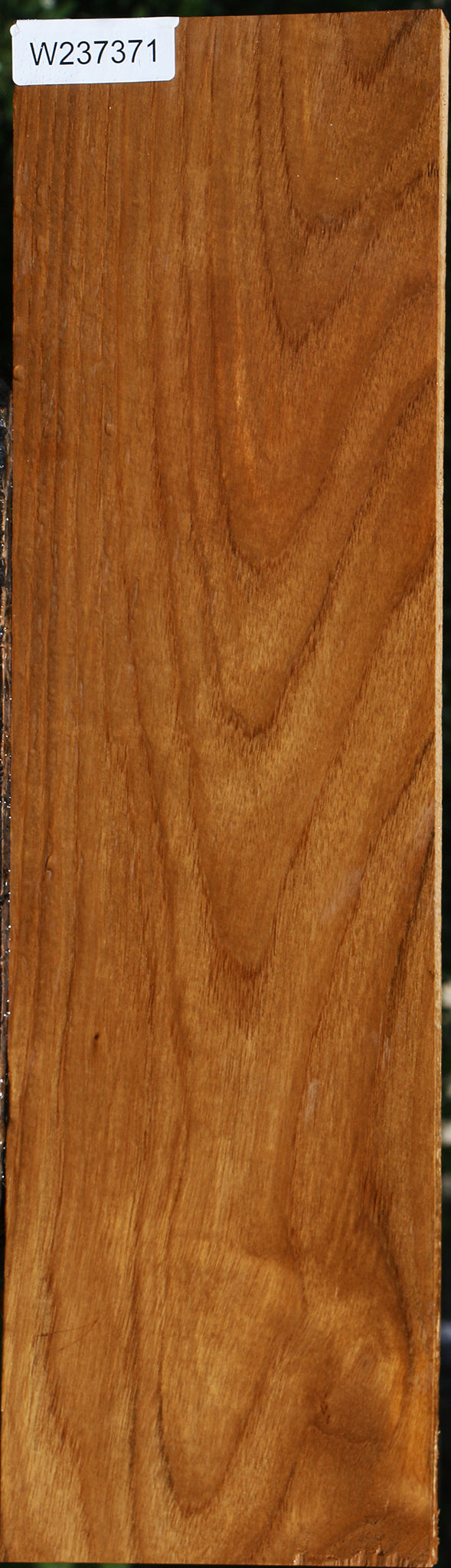 Teak Lumber