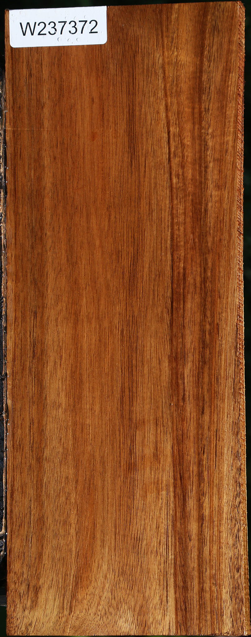 Teak Lumber