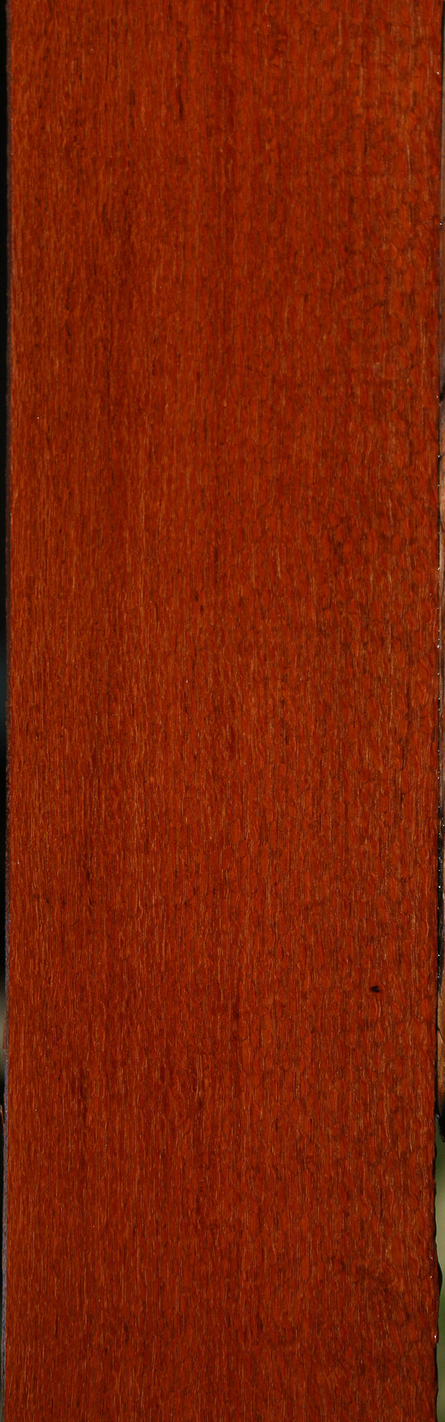 Leopardwood Lumber