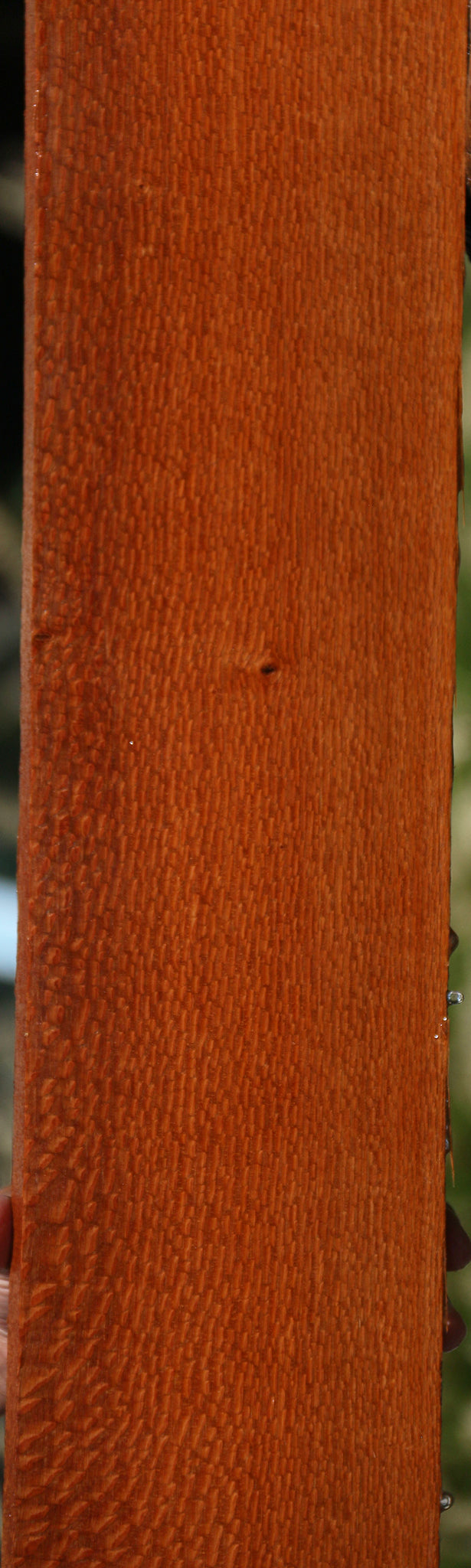 Leopardwood Lumber