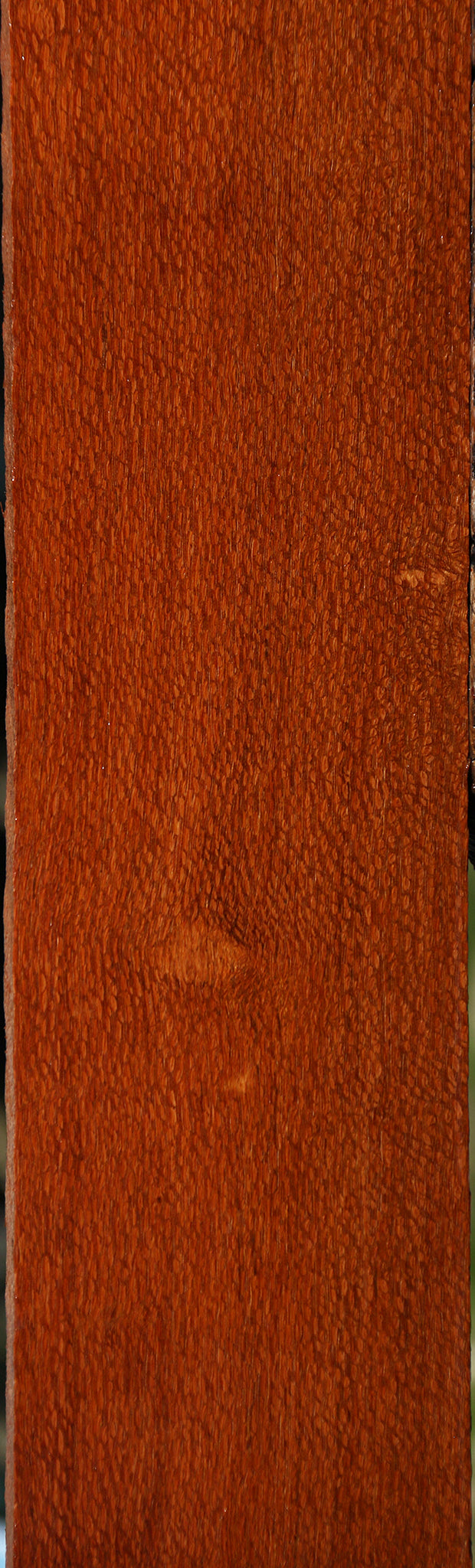 Leopardwood Lumber