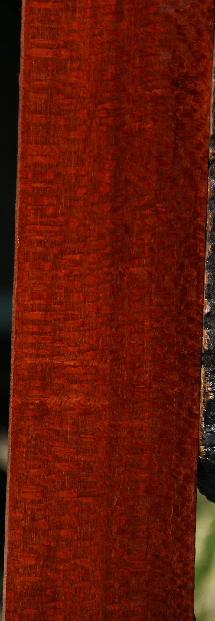 Extra Fancy Leopardwood Lumber