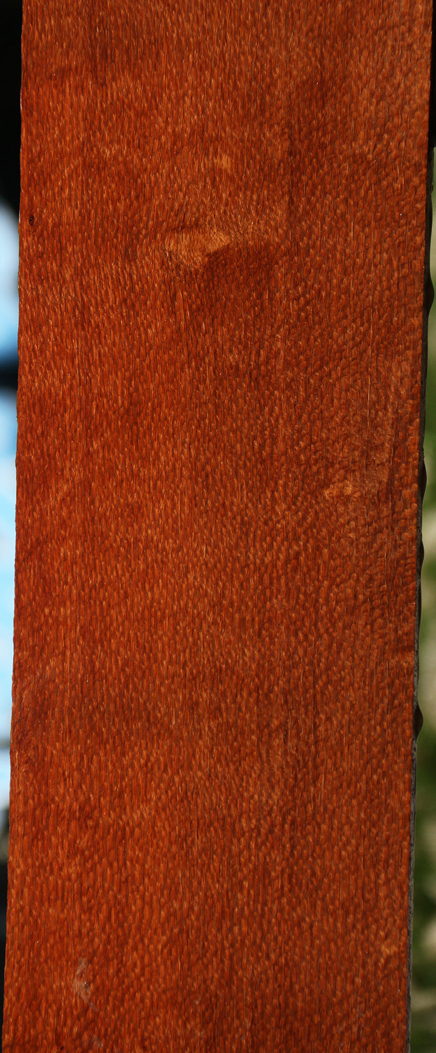 Figured Leopardwood Lumber