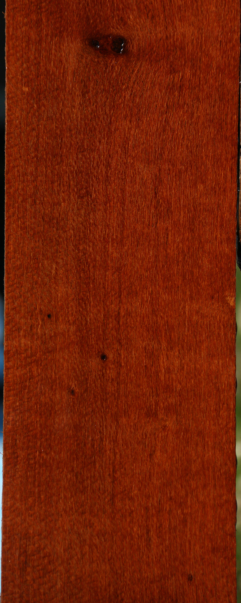 Figured Leopardwood Lumber