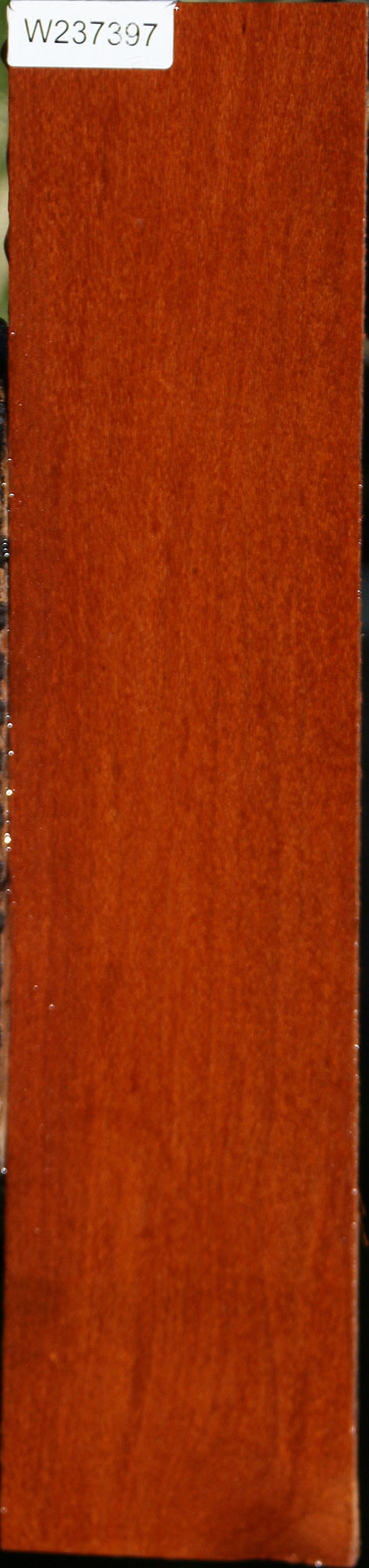 Leopardwood Lumber
