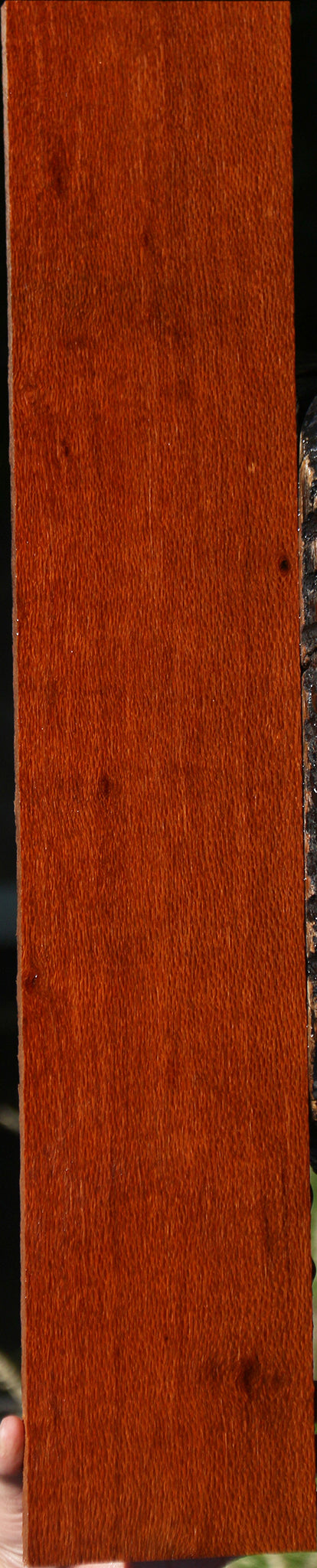 Leopardwood Lumber