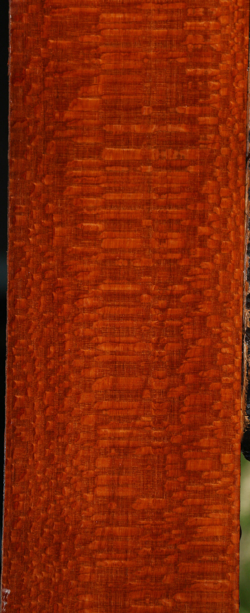 Extra Fancy Leopardwood Lumber