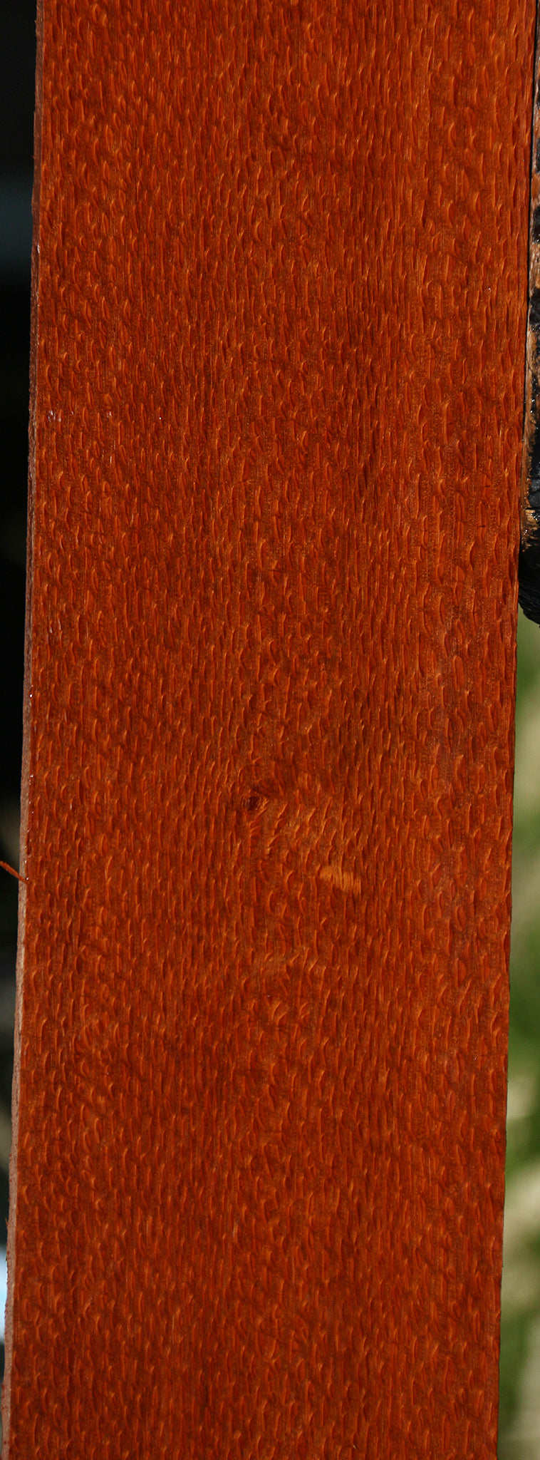 Extra Fancy Leopardwood Lumber