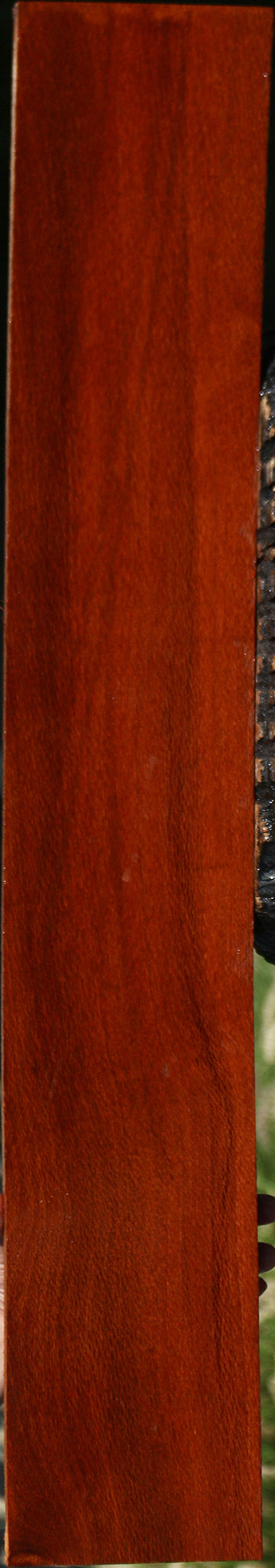 Leopardwood Lumber