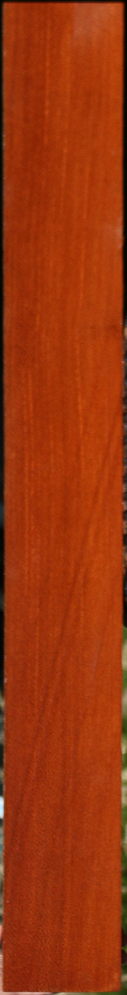 Figured Leopardwood Lumber