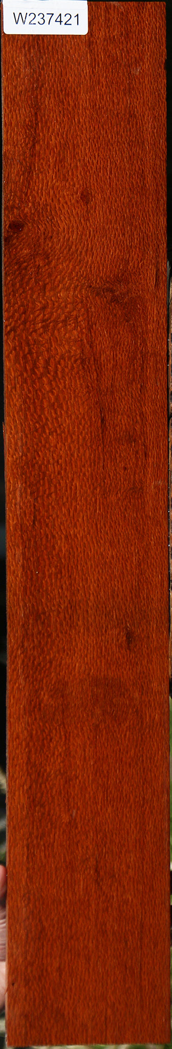 Figured Leopardwood Lumber