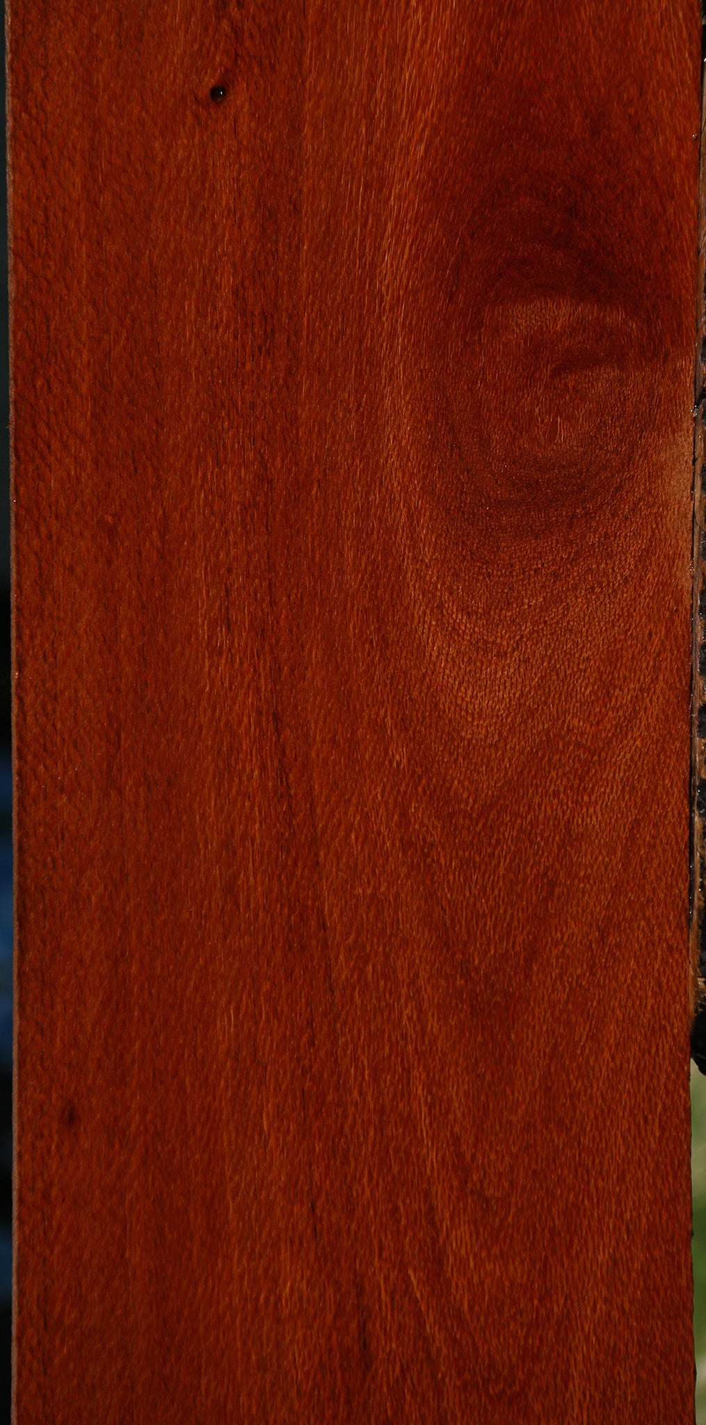 Leopardwood Lumber