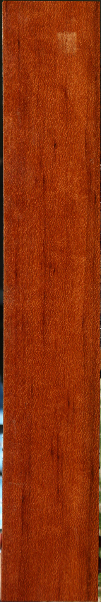 Figured Leopardwood Lumber