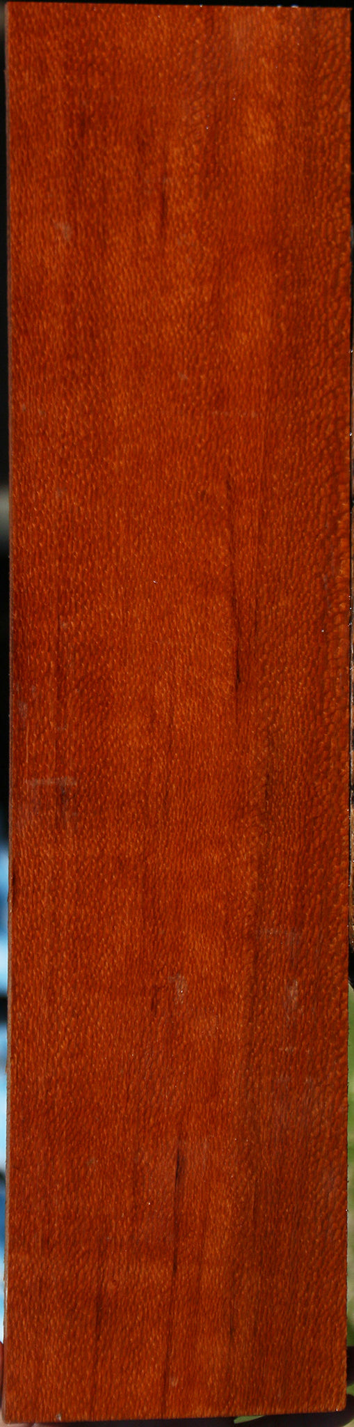 Figured Leopardwood Lumber