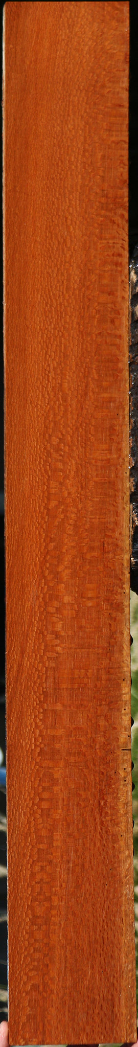 Extra Fancy Leopardwood Lumber