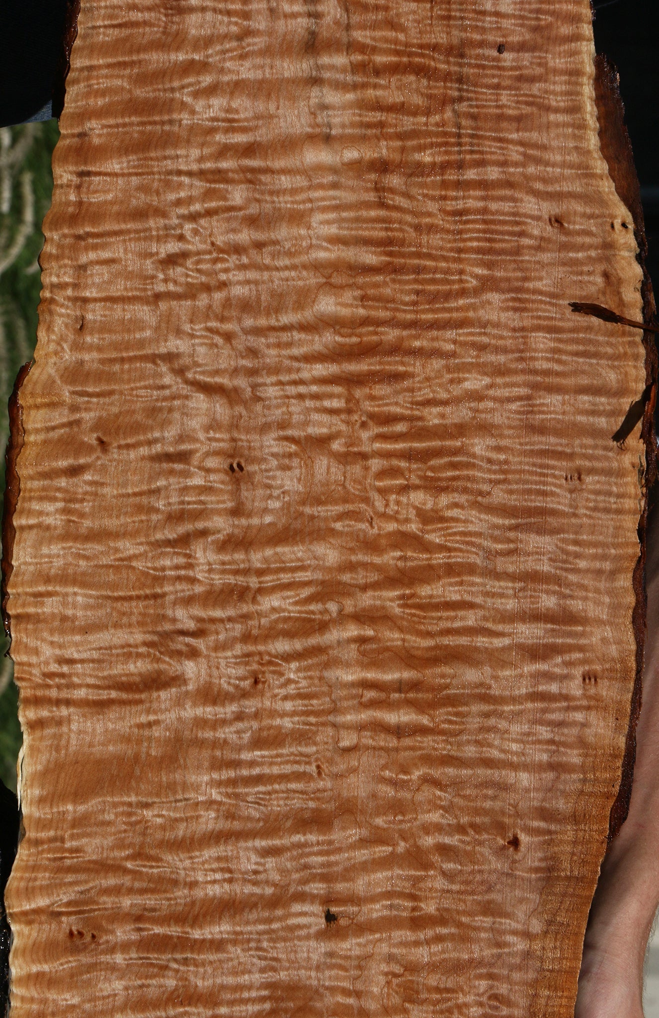 Quilted Maple Live Edge Lumber