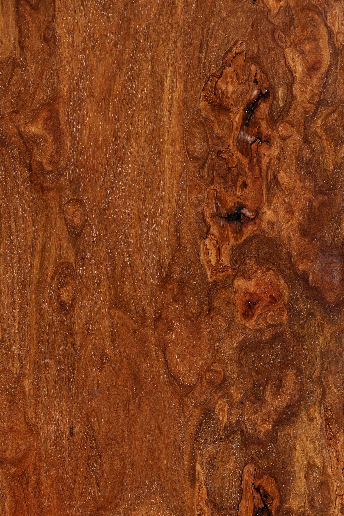 Extra Fancy Red Cumaru Slab