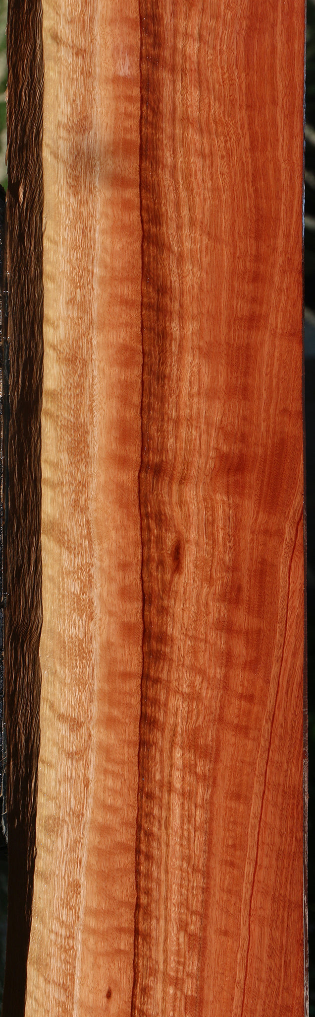 Extra Fancy Red Eucalyptus Live Edge Lumber