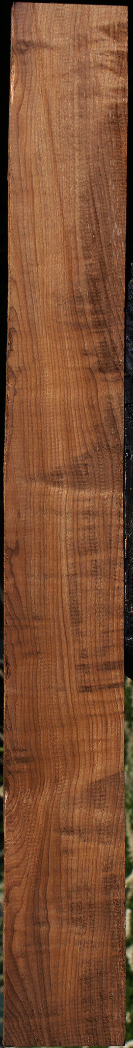 Figured Caramelized Birch Lumber