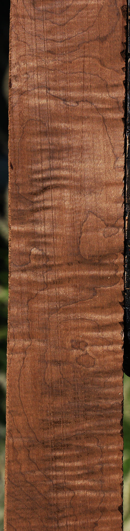 Figured Caramelized Birch Lumber