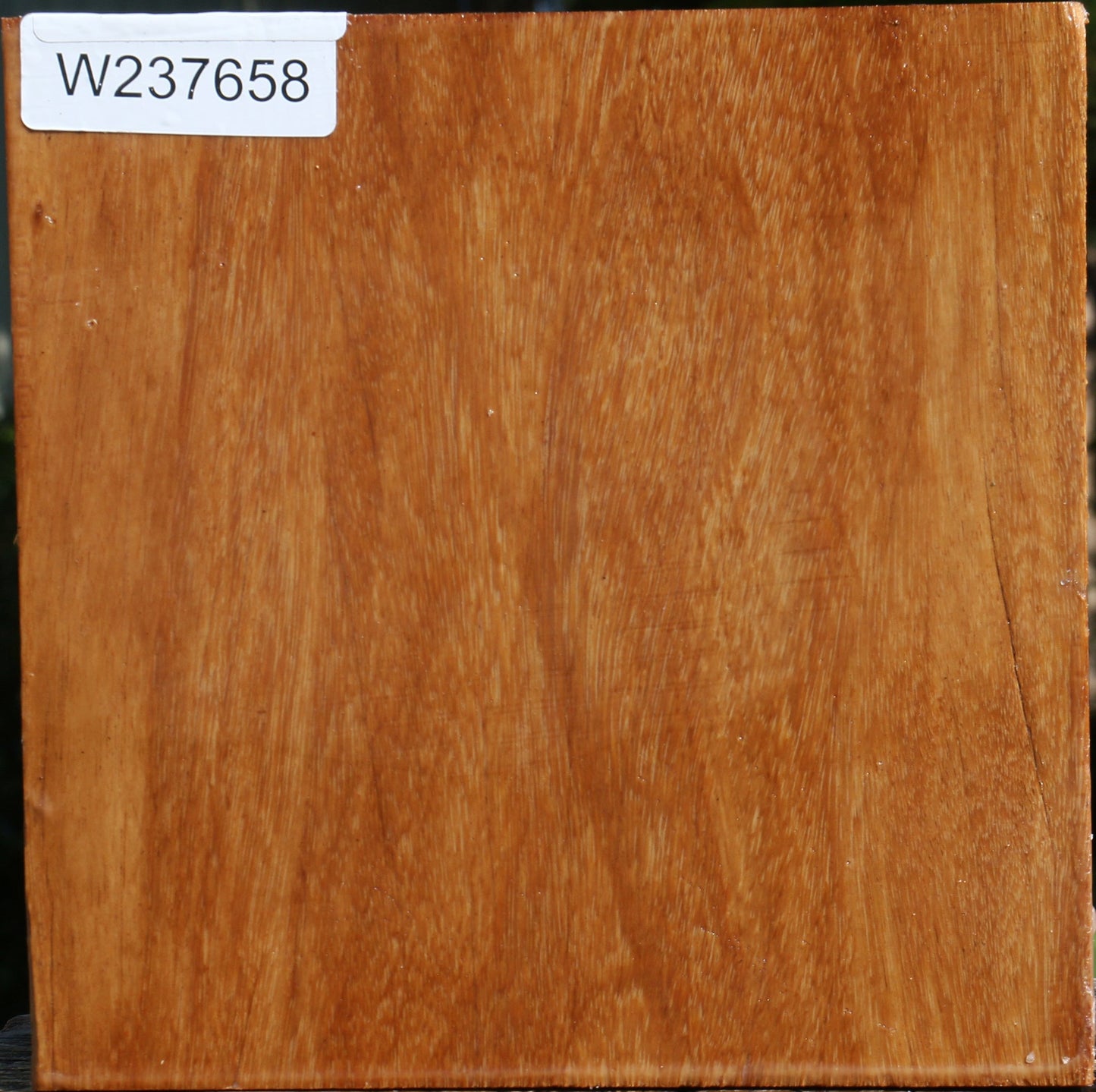 Red Cumaru Bowl Blank